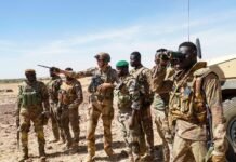 Sahel : là où les transitions prennent racines Sécurité au Sahel.