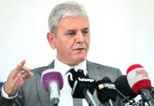 Entre loi et légitimité : le grand divorce Mohcine Belabbas